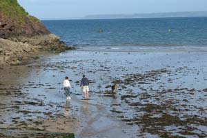 Photos of Devon attractions close to Karrageen